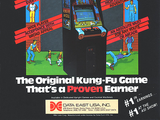 Kung-Fu Master (video game)