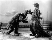 Godzilla Raids Again (1955) Godzilla vs Anguirus
