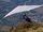 Hang gliding