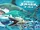 Sharks (Hungry Shark)