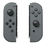 Detached grey Joy-Con