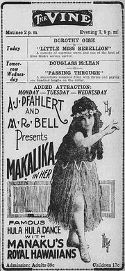 Hula Ad on the U.S