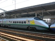  train in Pokémon livery.