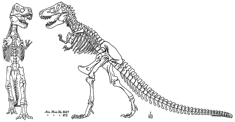 Jurassic Park a lie; T. rex couldn't run says latest research