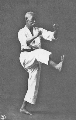 Biography of Master Shigeru EGAMI  BUDO JAPAN - Ttraditional Japanese  martial-arts