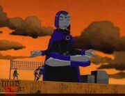 Raven's Meditation