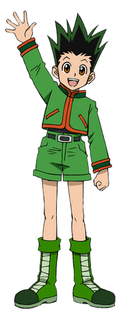 Ging Freecss, Wiki