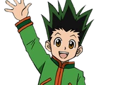 Gon Freecss