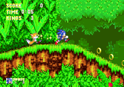 Sonic and Tails walking in Angel Island Zone.