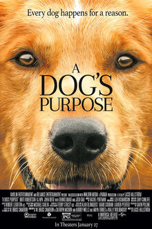 A Dog s Purpose film Ultimate Pop Culture Wiki Fandom