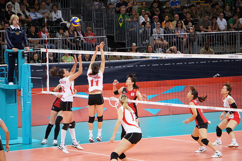 2006 FIVB Volleyball Women's World Championship - Wikipedia