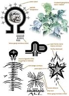 JackTattoos