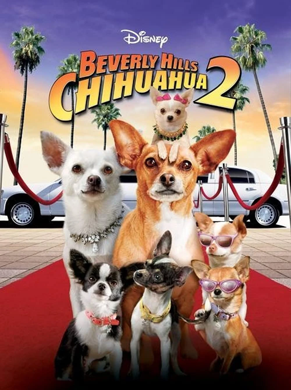 Beverly Hills Chihuahua 2 | Ultimate Pop Culture Wiki | Fandom, image size:1000x1342