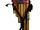 Music of Latin America