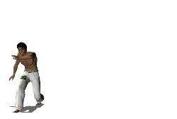 Capoeira animation auregional