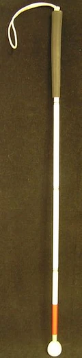 Long cane