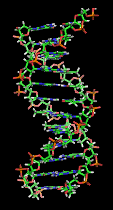 File:Limit content width - wikiversity pt - GIF 1.gif - Wikimedia