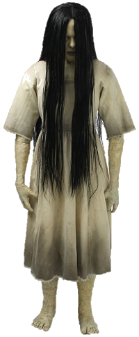 Sadako Yamamura Ultimate Pop Culture Wiki Fandom