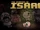 The Binding of Isaac (video game)