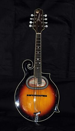 Mandolin-banjo - Wikipedia