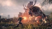 Gameplay screenshot of Geralt using the Igni sign against an enemy