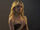 Leven Rambin