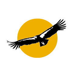 Santa Barbara Condors Ultimate Wikia Fandom