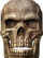 Theskeleton.png