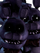 Hallucination Bonnie Gang.png