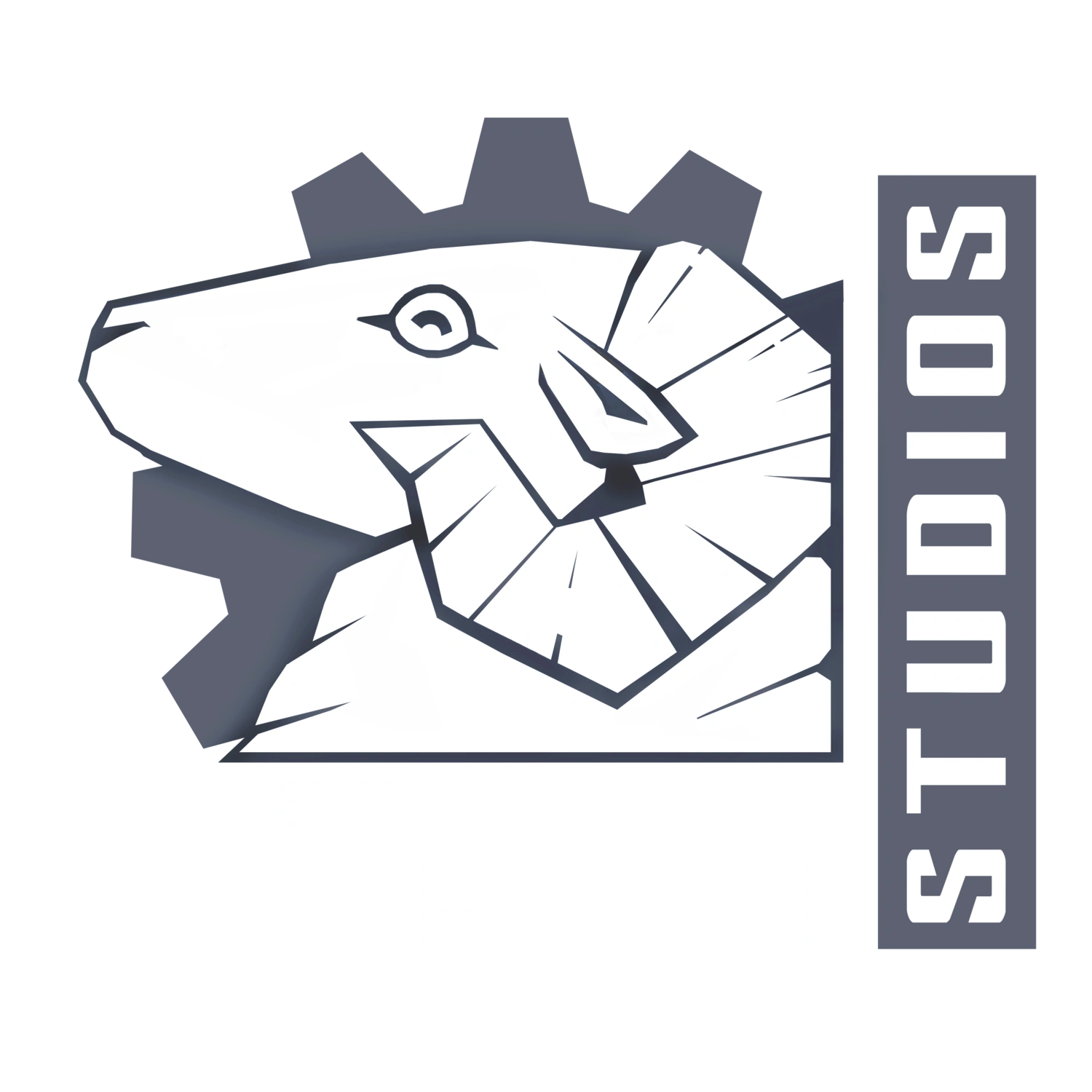 Steel Wool Studios (@SteelWoolStudio) / X