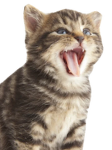 Kitty | Ultra Custom Night Wiki | Fandom Kitty | Ultra Custom Night Wiki | Fandom