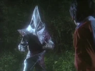 Regulan1.jpg (193 KB)