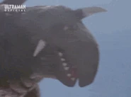 KingTortoiseOrganicBombs.gif (7 MB) Organic Bombs