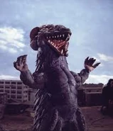 Gongoros 2.jpg (7 KB)