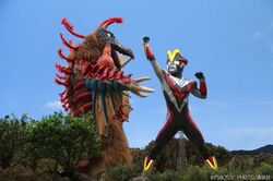 Victory vs Birdon Cocreco