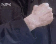 HikariTransformFull.gif (8.96 MB)