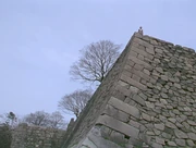 Asuka transformation 36