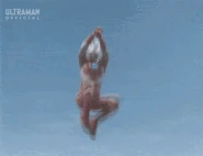 MebiumSpinKick.gif (8.02 MB) Burning Mebiuspin Kick