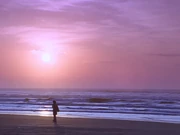 After Zog's crisis passed, Fujimiya started traveling alone.