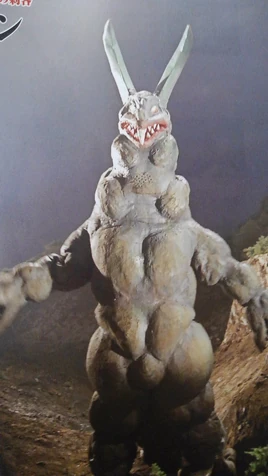 Killergon front view