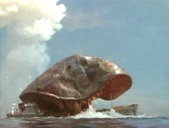 Kinokurages absorbing oil