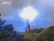 TaroSpout.gif (6.56 MB) Taro Spout