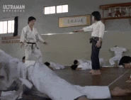 Karate Mastery