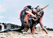 BLACK-END-4.jpg (311 KB)