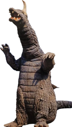 Makunosaurus front view