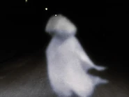 Ultra-Q-EP25-Lily-wandering.jpg (266 KB) Wandering like a ghost