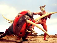 Black-End-0.jpg (103 KB)