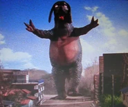 Yotandon2.jpg (84 KB)