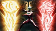 Red Dragon and White Tiger Fist