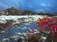 Super Weapon R-1 07.png (3.38 MB)